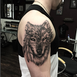 Tattoos - Realistic Wolf on Shoulder- Instagram @michaelbalesart - 121895